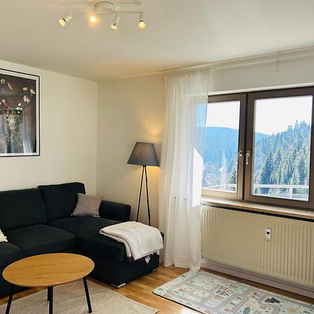Ferienwohnung Panoramablick - Super Fuer Deine Familie Und Die Besten Aussicht In Ganz Тодтмос Экстерьер фото
