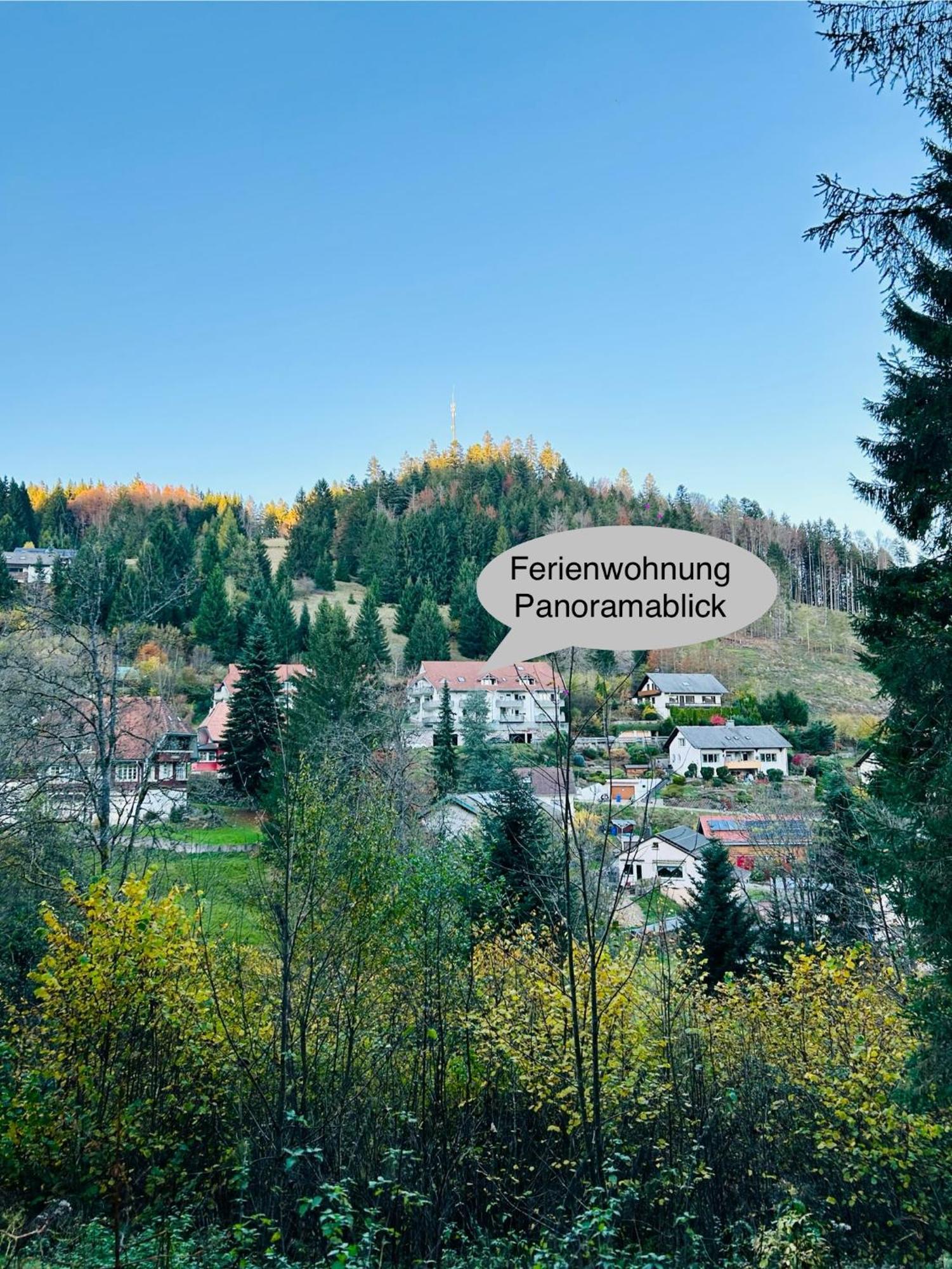 Ferienwohnung Panoramablick - Super Fuer Deine Familie Und Die Besten Aussicht In Ganz Тодтмос Экстерьер фото