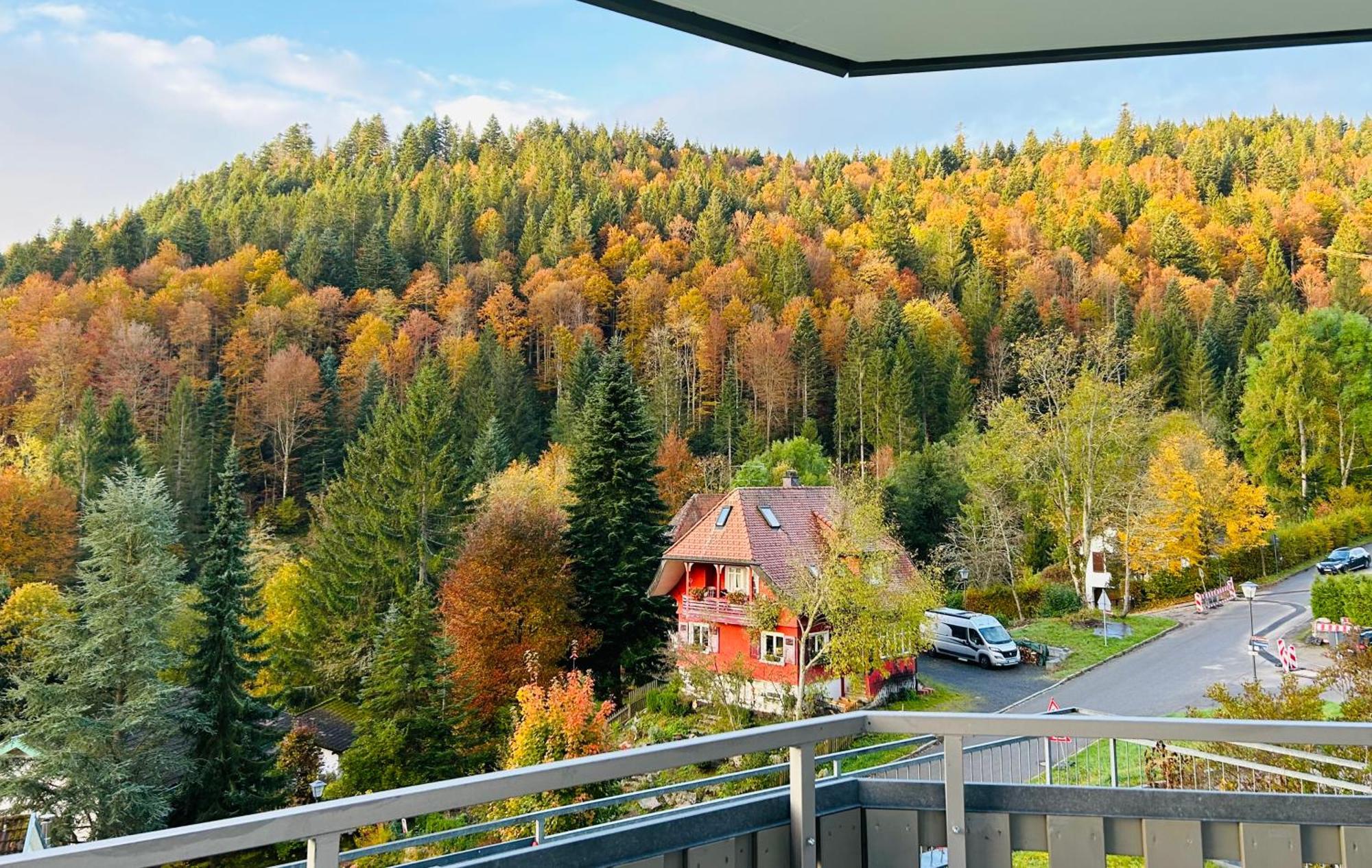 Ferienwohnung Panoramablick - Super Fuer Deine Familie Und Die Besten Aussicht In Ganz Тодтмос Экстерьер фото
