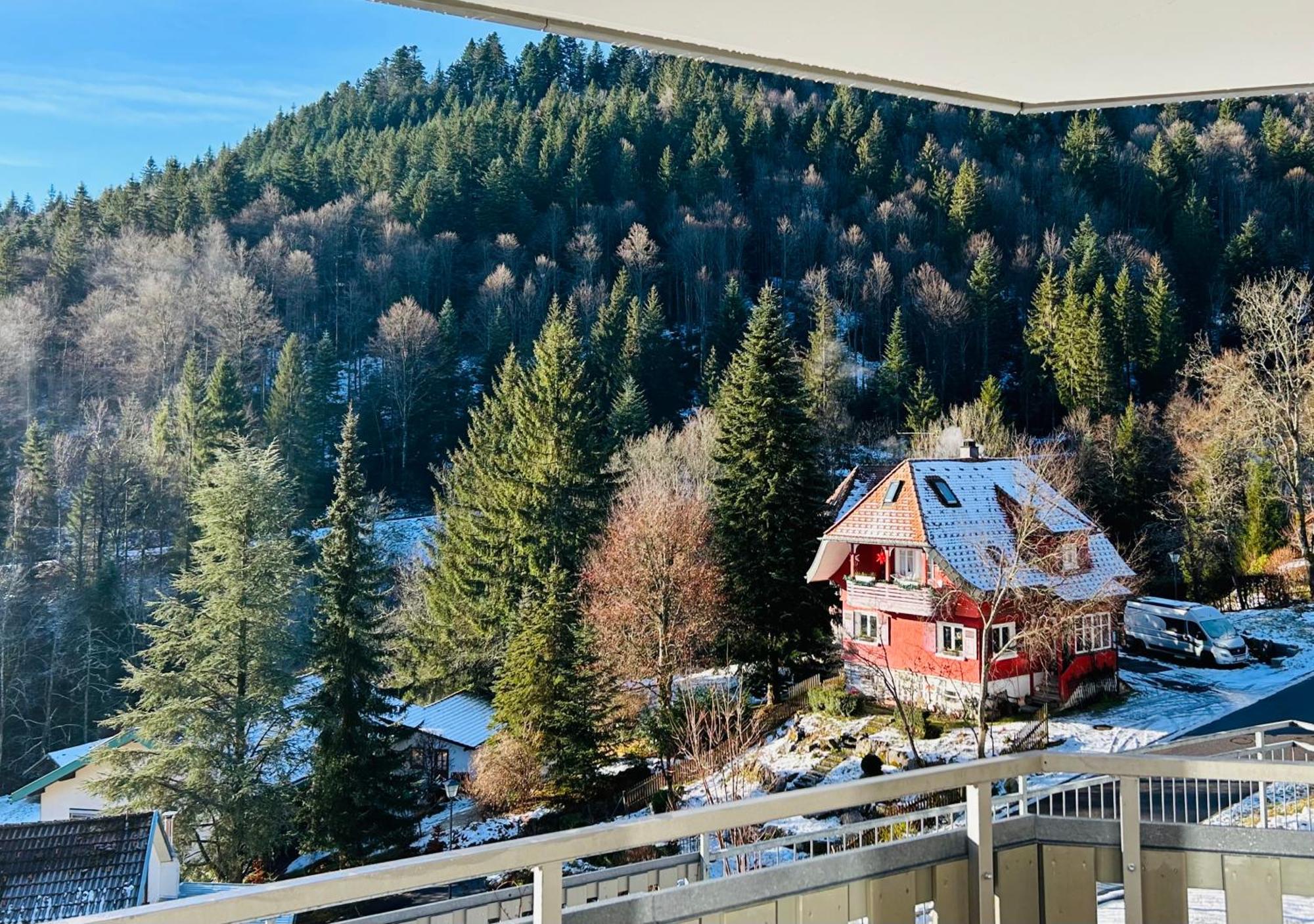 Ferienwohnung Panoramablick - Super Fuer Deine Familie Und Die Besten Aussicht In Ganz Тодтмос Экстерьер фото