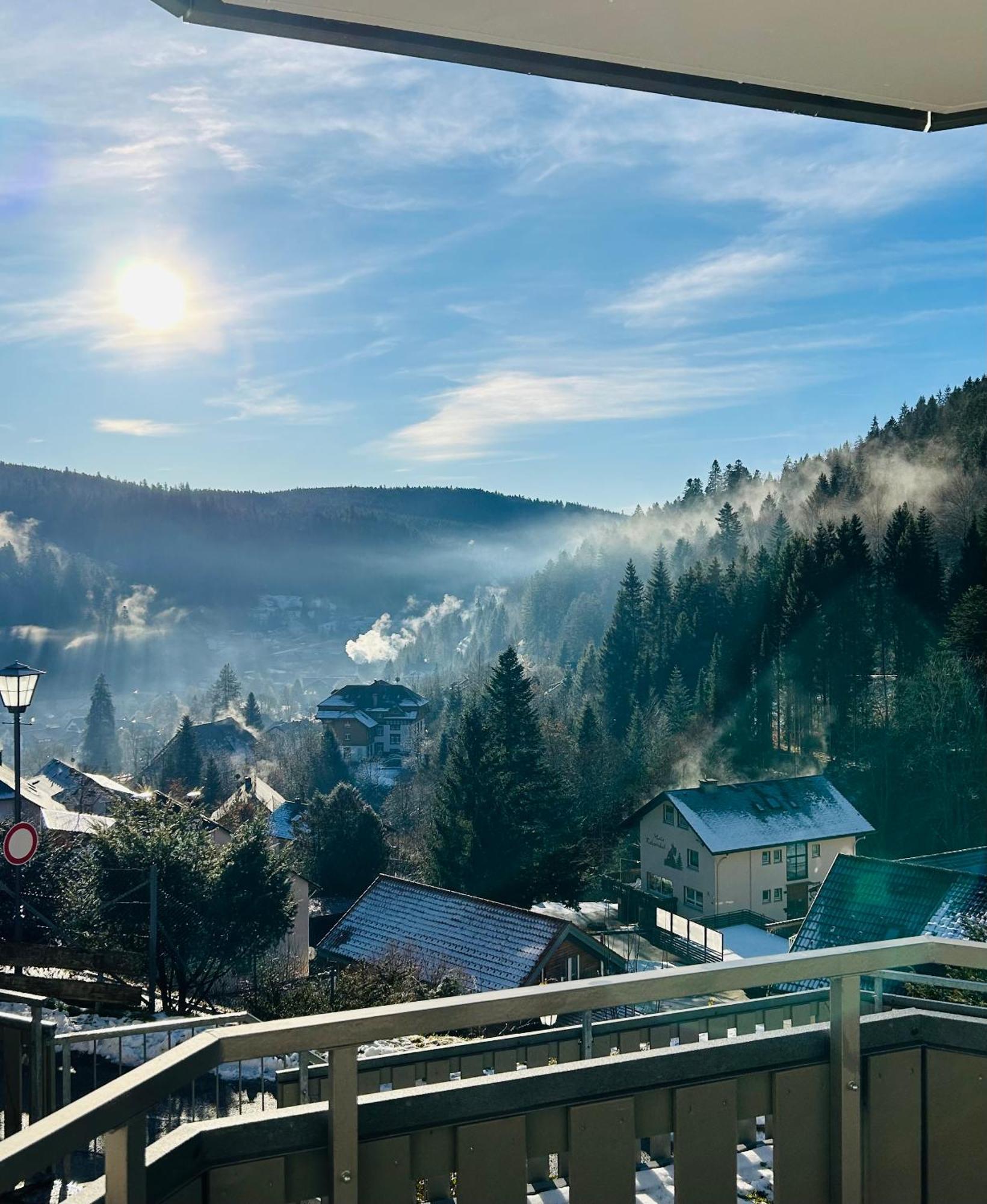 Ferienwohnung Panoramablick - Super Fuer Deine Familie Und Die Besten Aussicht In Ganz Тодтмос Экстерьер фото